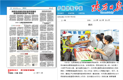 巅峰国际西北集团珑樾府项目高温慰问——《陕西日报》